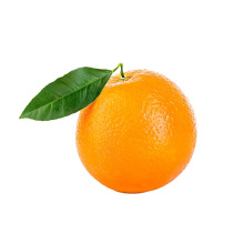 New crop of Fresh Navel Orange Mandarin Orange fruit for wholesale